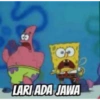 CO LARI ADA JAWA