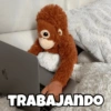 TRABAJANDO