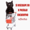 Memes en tendencia 01 ✨🔥 26