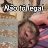 Não to legal