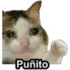 Puñito 🤓 9