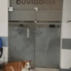 Silveira  14