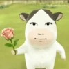 Sapi tiktok filter cow 🐮 14