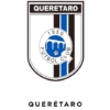 Liga Mexicana MX 5