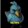 Memes Angry birds 16