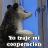 🧿 Tlacuache/ zariguella🦡 28