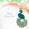 Proud Peacock