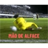 Gatinho 21
