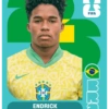 🧿 Laminas Seleccion Brazil🇧🇷 16