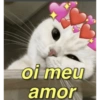 GATOSLOVE❤️ 13