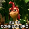 MEMES JOÃO FRANGO 9