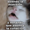 asiendo la mimision y sonando que asemos la culiacion