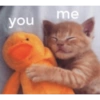Love cats 9