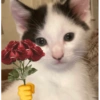 Reações de amor/fofas 5