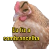 Memes  12