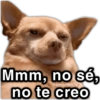 Mmm, no sé, @paraguayita_01 no te creo
