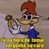 Pica pau as melhores 14