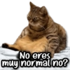No eres muy normal no?