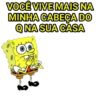 Bob sincero 6