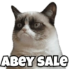 Funny Cats 7