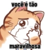 Gatos cantadas 12