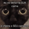 eu vo deita na SUA cama e cheira o SEU cangote