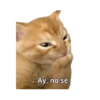 Michis memes 😹😼 9