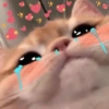SAD CATT😿😿😭 16