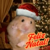 Animais de Natal 2🎄 28