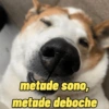 metade sono, metade deboche