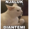NJALUK DIANTEMI