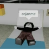 Roblox 14