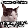 A veces estás bien gotras veces no sé. te pica el culo