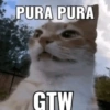 Meme kucing stres core 😾 12