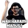 CarryMinati Stickers 6
