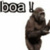 Eu vi no TikTok  10