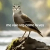 Waos 28