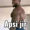 Apsi jir