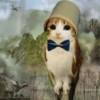 Meowl 🐱🦉 6