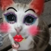Kucing Lucu 9
