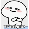 인 YG BENER?