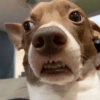 MOOD Random #7 6
