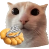 🧿 Gato para molestar 😋😂🐱 8
