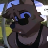Random & Furry 12