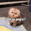 Cute stickers 13