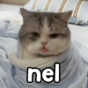 nel