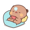 Good night cat 💤 13