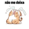 Gatos cantadas 13