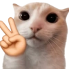 🧿 Gato para molestar 😋😂🐱 10