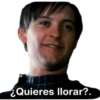 Memes18 17
